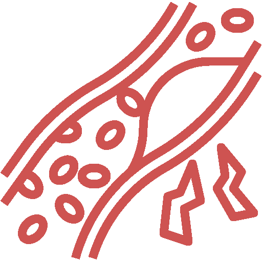 Dislipidemia