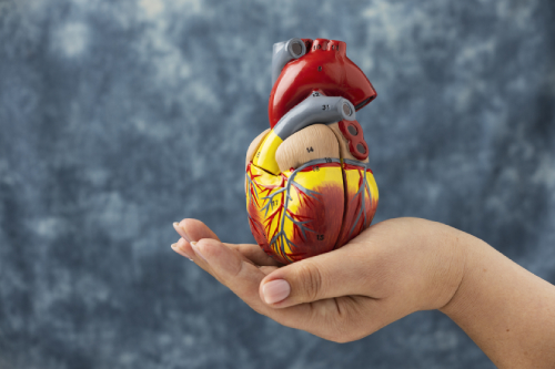 Trasplante cardiaco